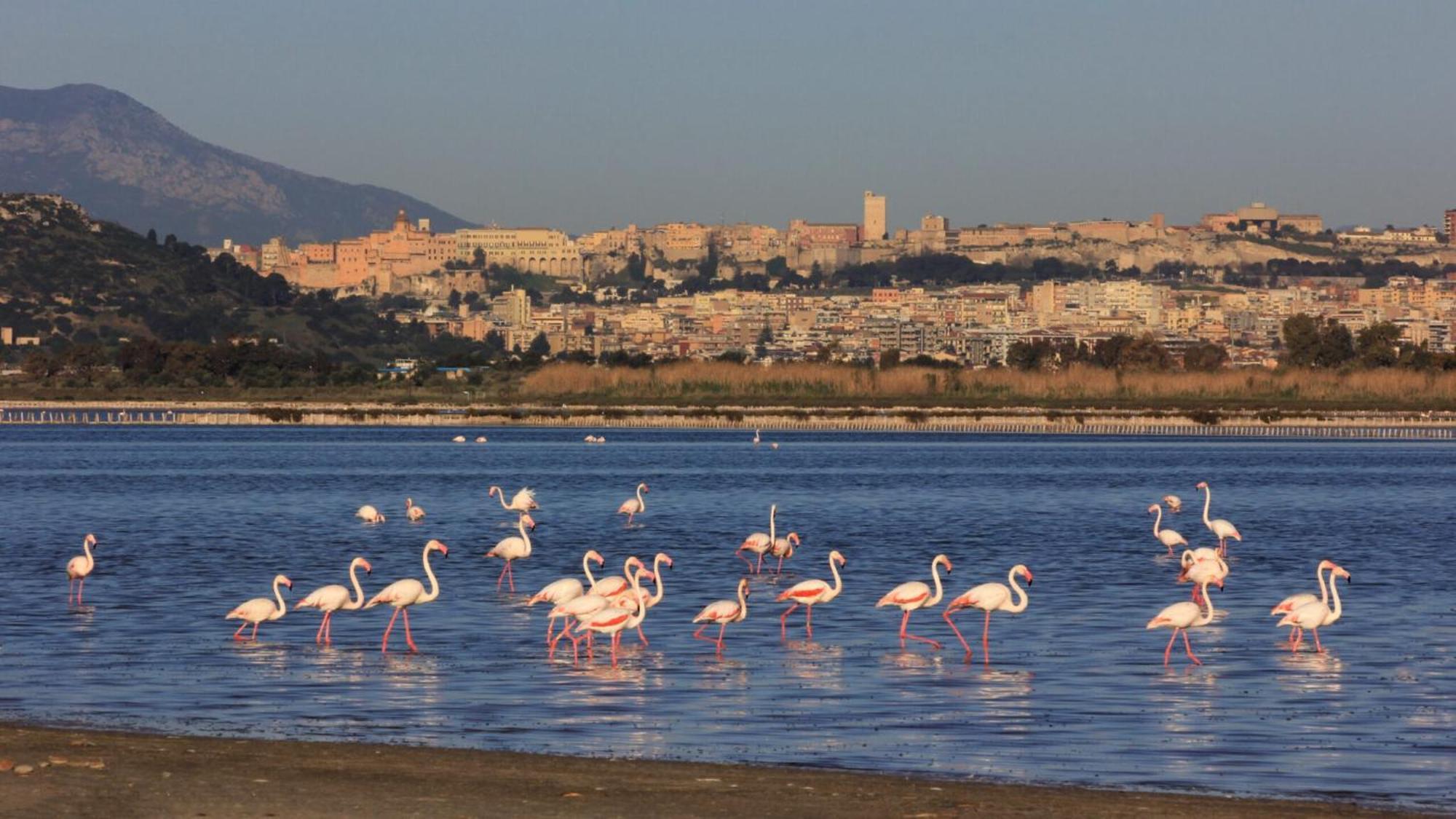 Mari'Entu Apartment Quartu Sant'Elena Bagian luar foto